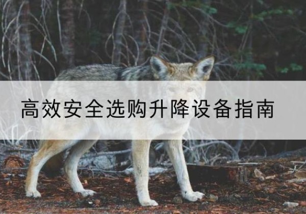 元宝升降货梯厂家推荐-*安全选购升降设备指南