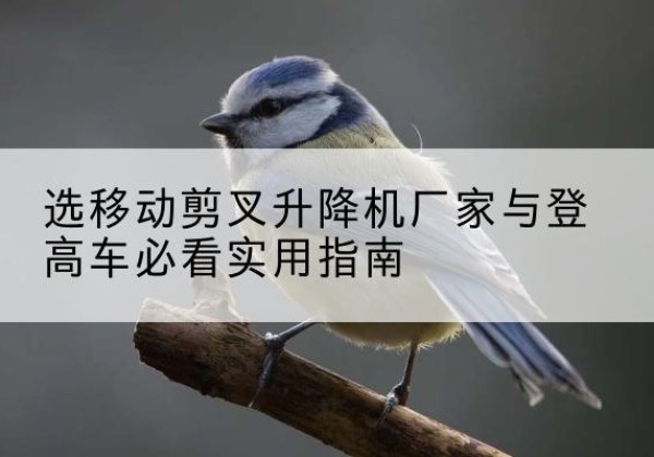 元宝电动升降机厂家-选移动剪叉升降机厂家与登高车必看实用指南