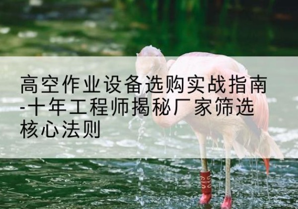 元宝剪叉式升降机厂家-高空作业设备选购实战指南-十年工程师揭秘厂家筛选核心法则